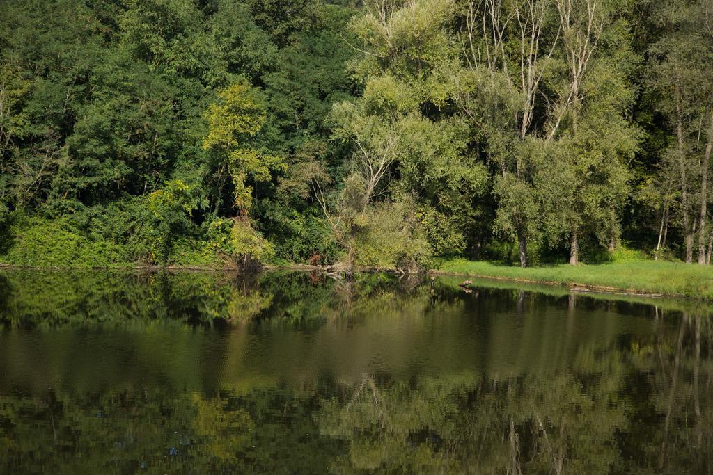 Hotel Del Lago Cavriglia Εξωτερικό φωτογραφία